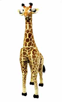 6' Giraffe