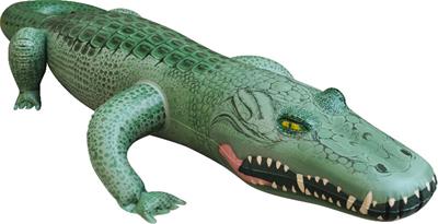Inflatable Alligator Case Pack 4