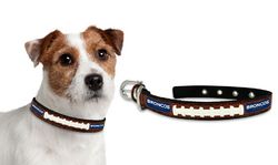 Denver Broncos Dog Collar - Small
