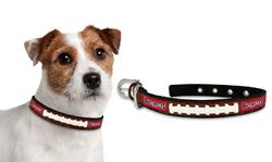 Tampa Bay Buccaneers Dog Collar - Small