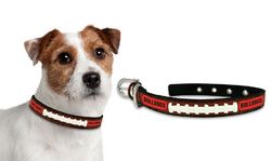 Georgia Bulldogs Dog Collar - Small