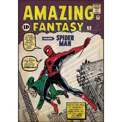 Spiderman First Issue Comic Book Cover Wall Accent Sticker